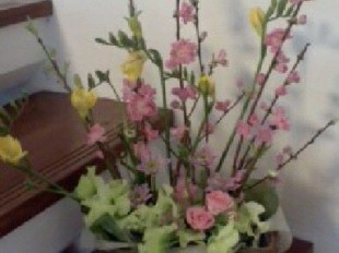桃の花を生けました